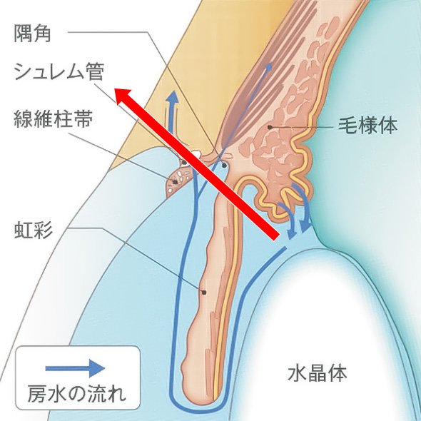 LECの作用